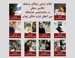 برندگان مسابقه "عکاسی سلفی" در شانزدهمین نمایشگاه بین المللی لوازم خانگی تهران 
